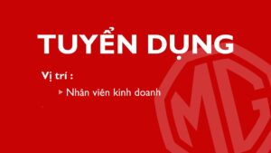 Mg Bình Định tuyển dụng
